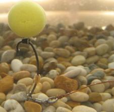 monturi crap - images-2.jpg